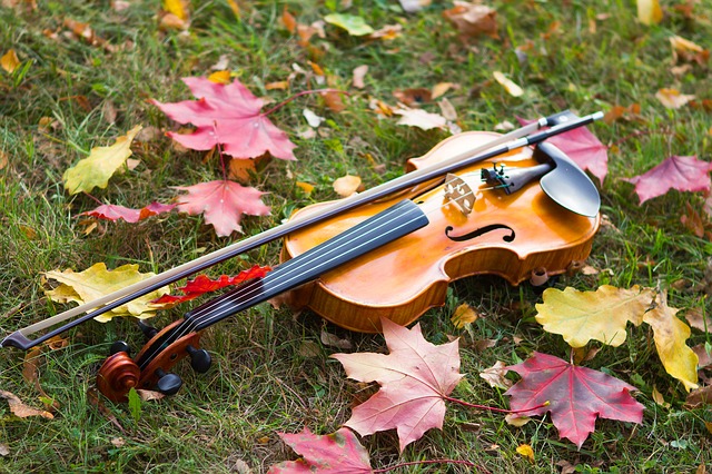 ¿Cuánto gastar en un arco de violín, viola o violonchelo?