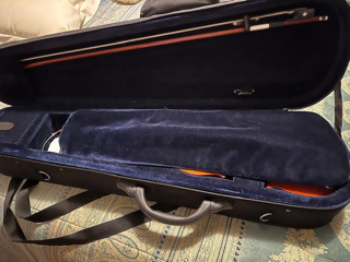 Violin Otto V 3002
