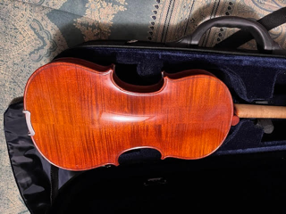Violin Otto V 3004