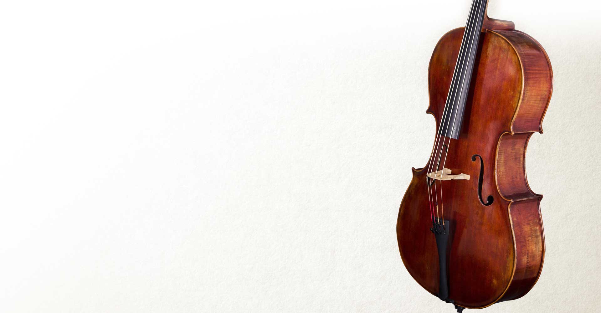 Cómo elegir un instrumento de cuerda