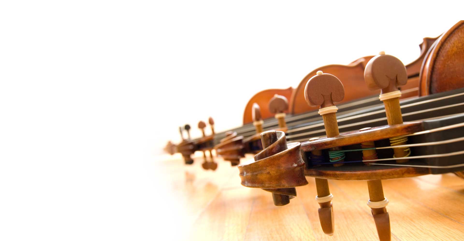 Cada violín es diferente, encuentra el tuyo.