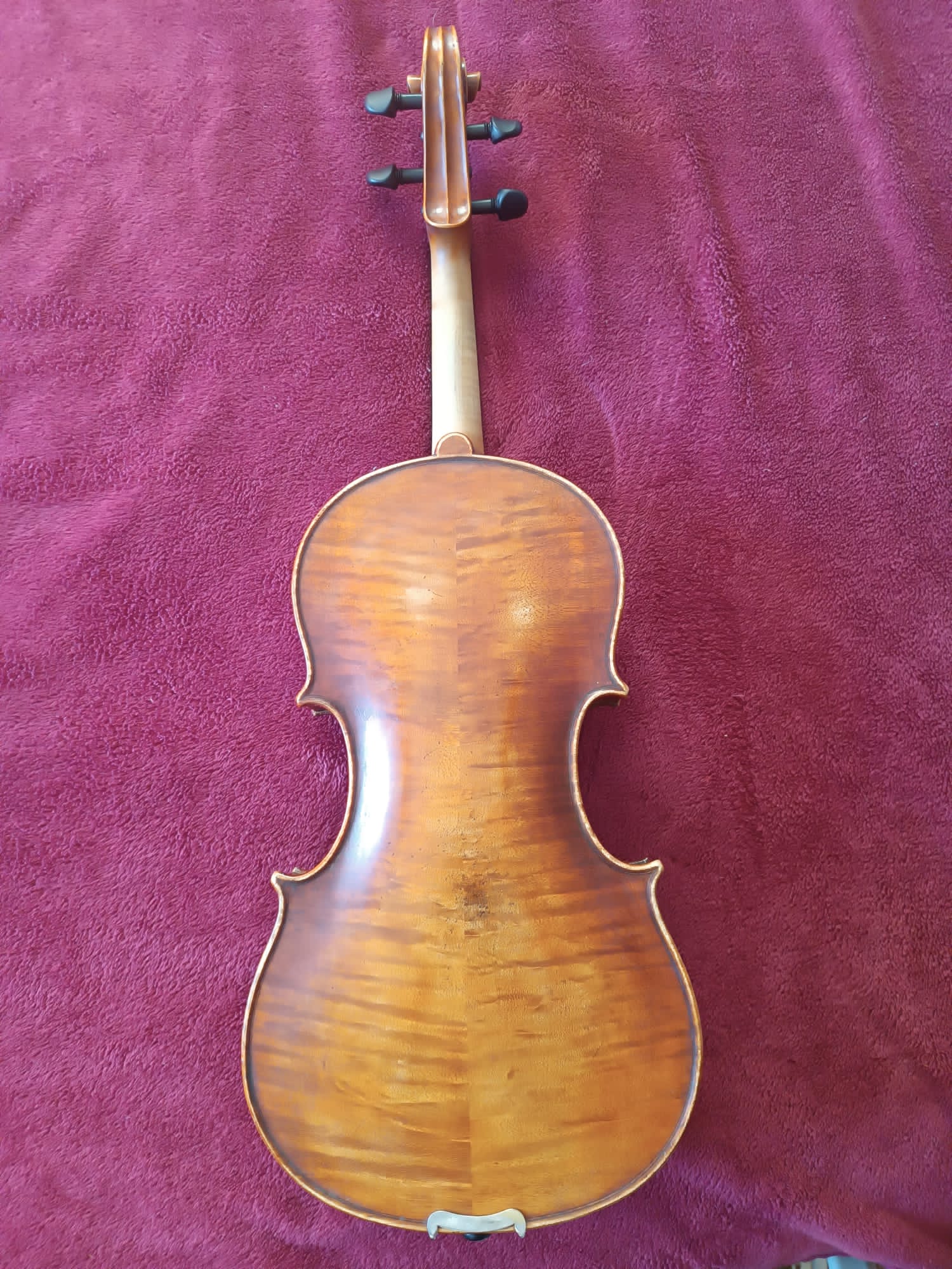 Viola A. Bittner/ EduardoTriviño2