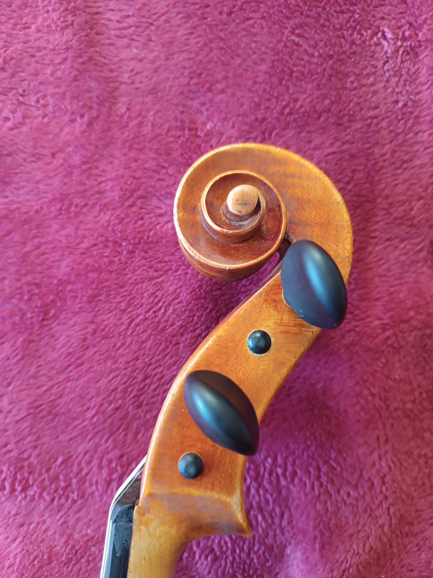 Viola A. Bittner/ EduardoTriviño4