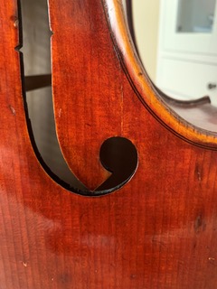 Foto Cello Guille 4