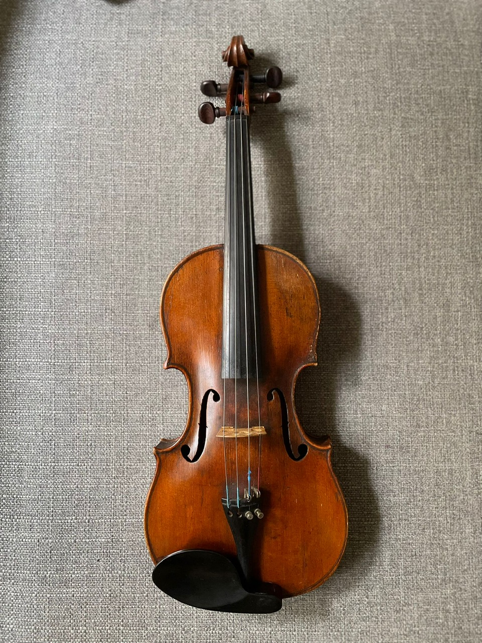 Violn Vero2