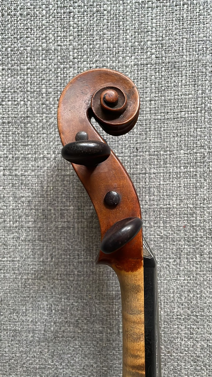 Violn Vero3