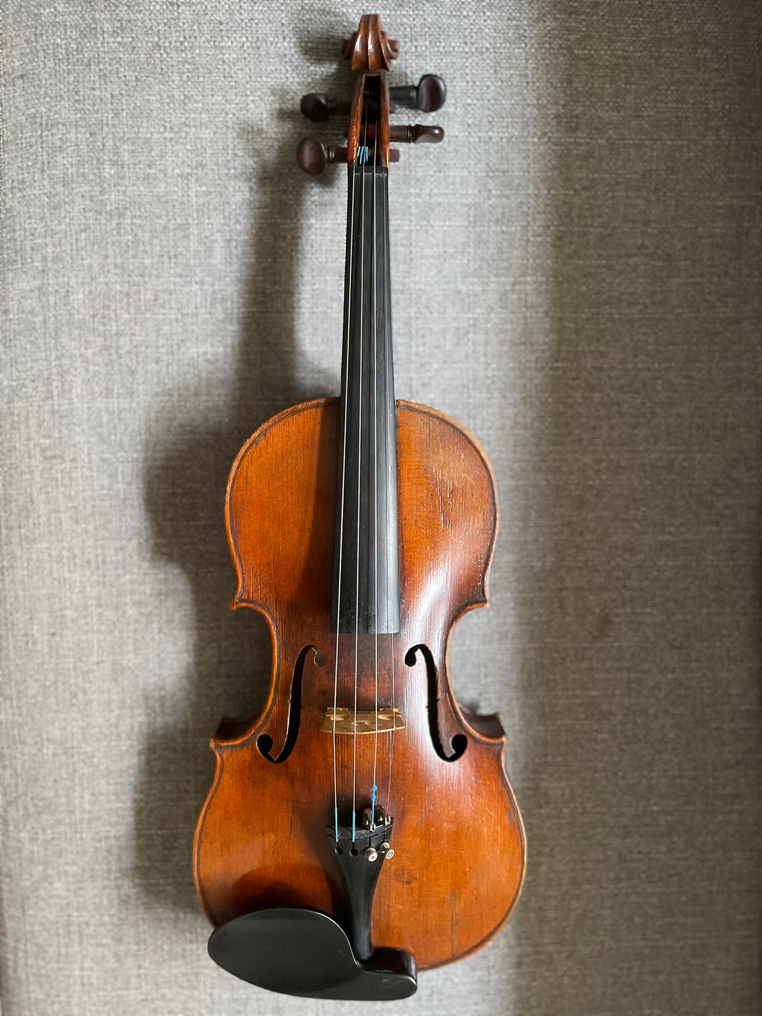 Violn Vero4
