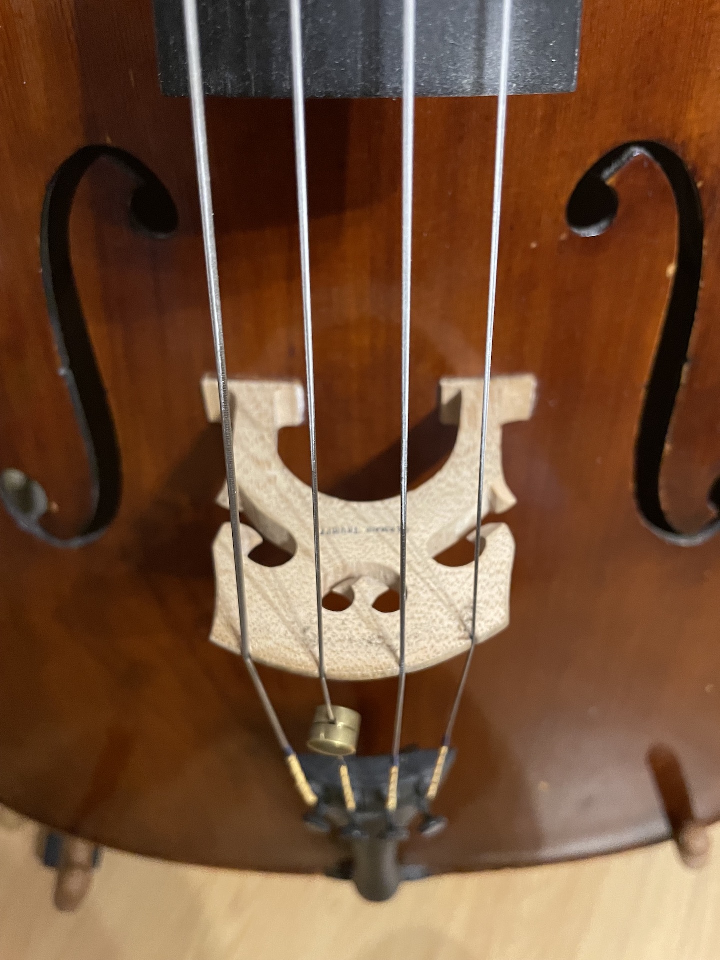 Cello78JosAntonio1