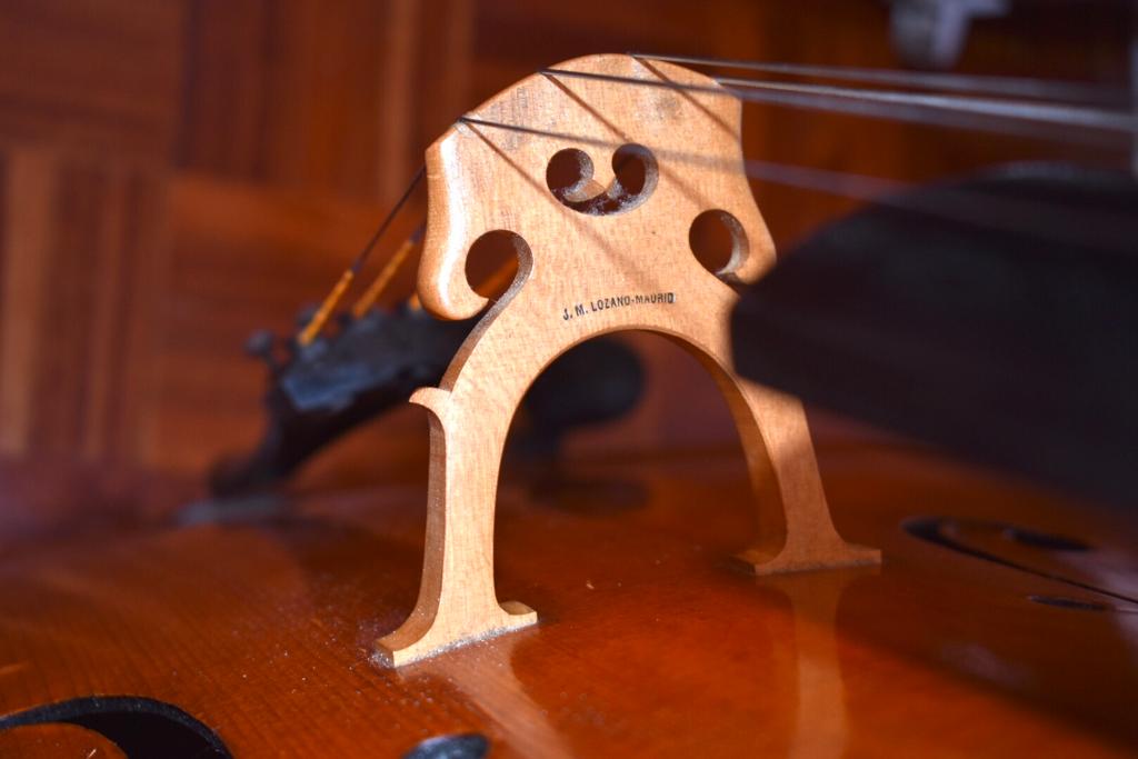 Violonchelo profesional Europeo