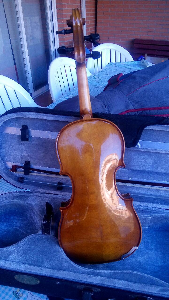 Viola 1322 0158