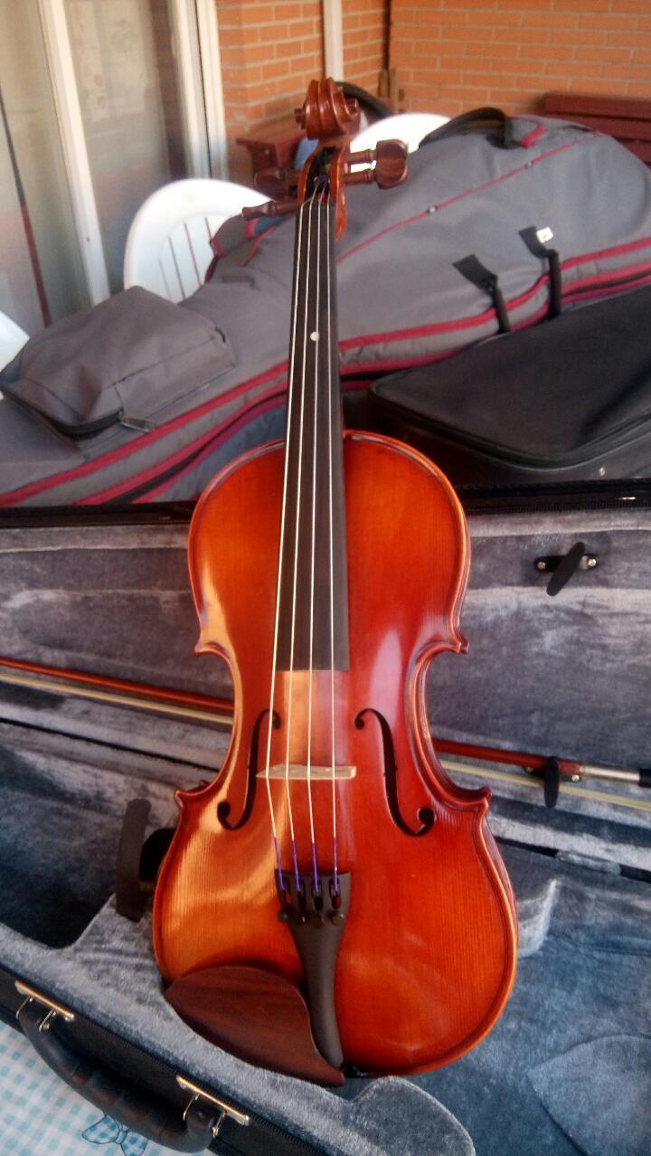 Viola 1422 0162