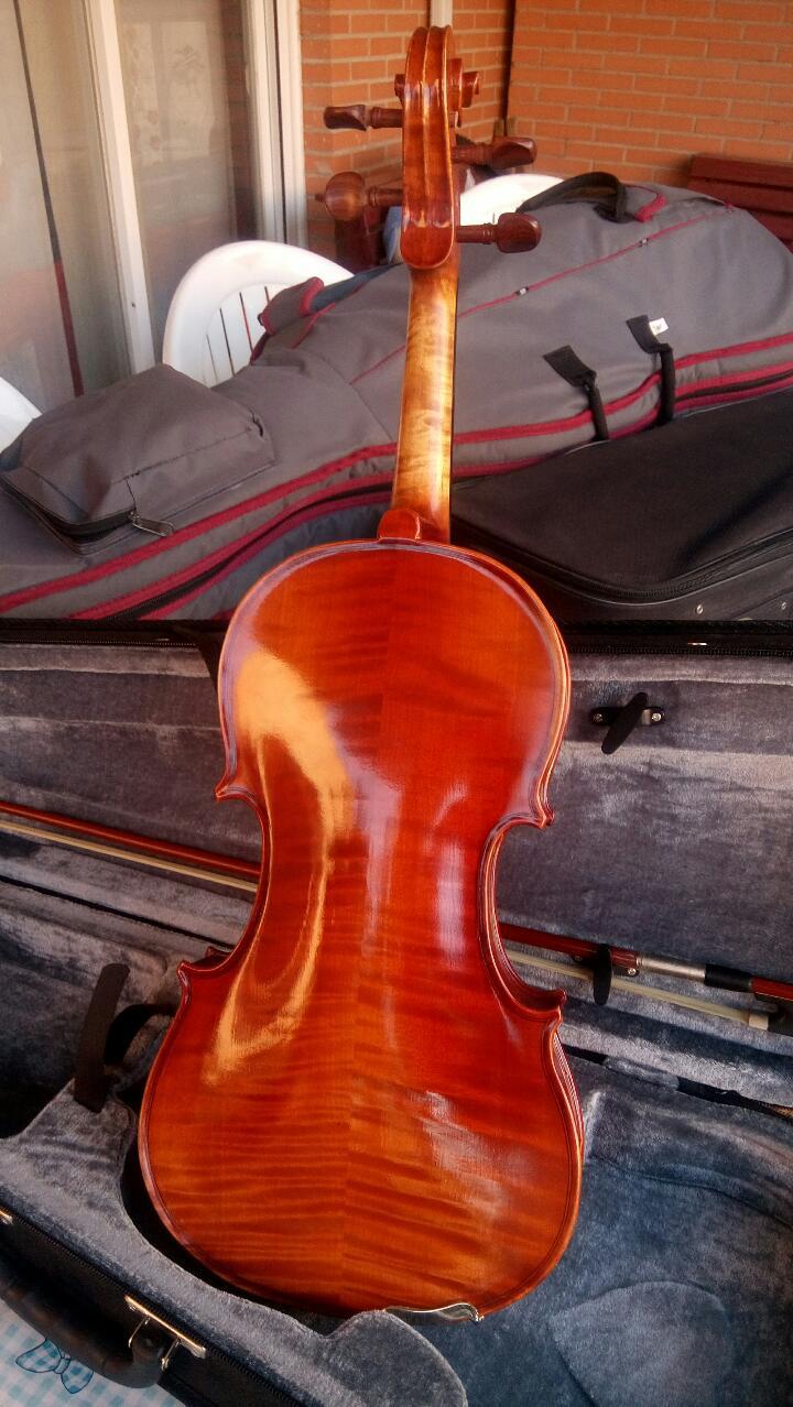Viola 1422 0163