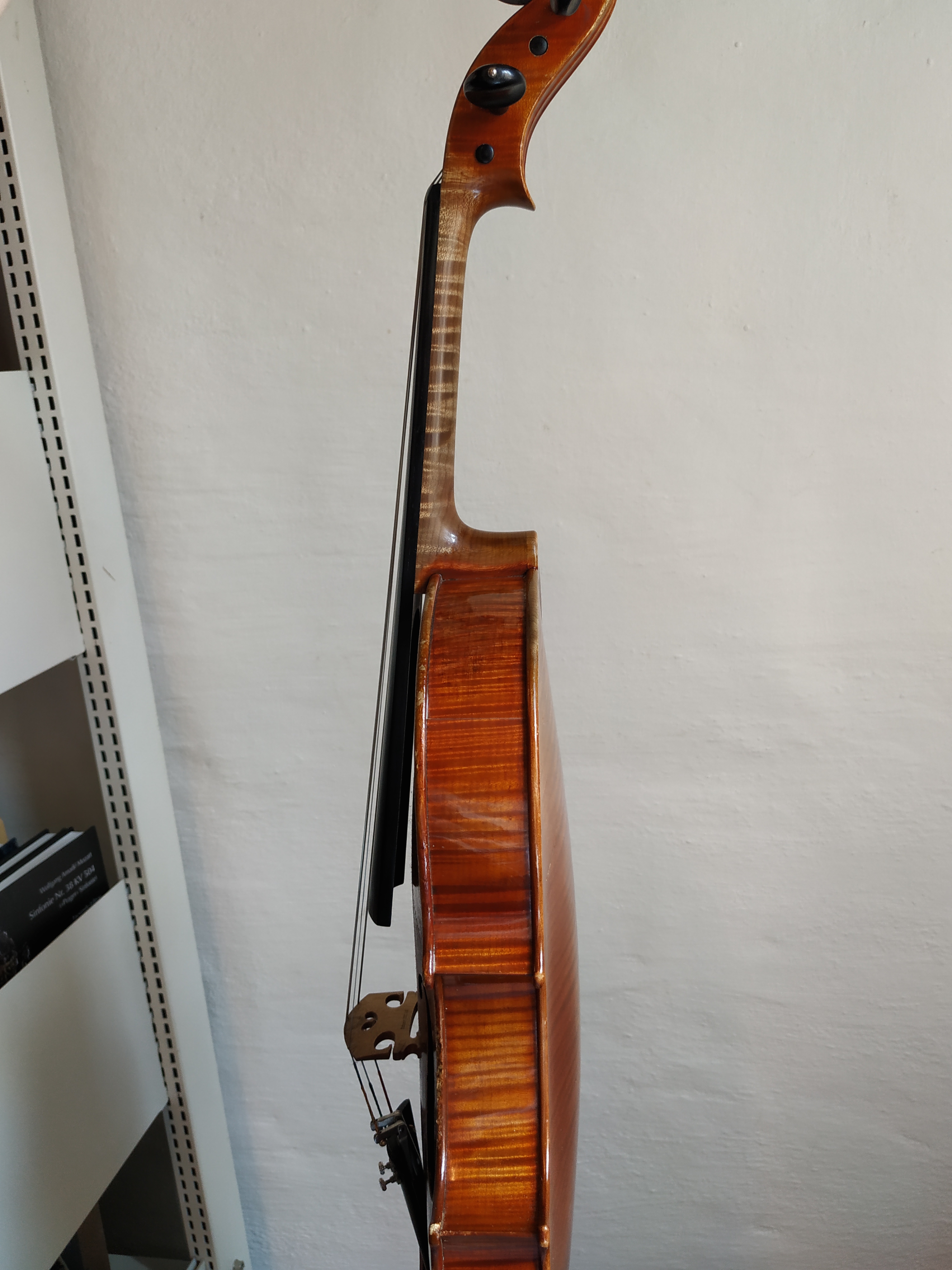 ViolaCarme