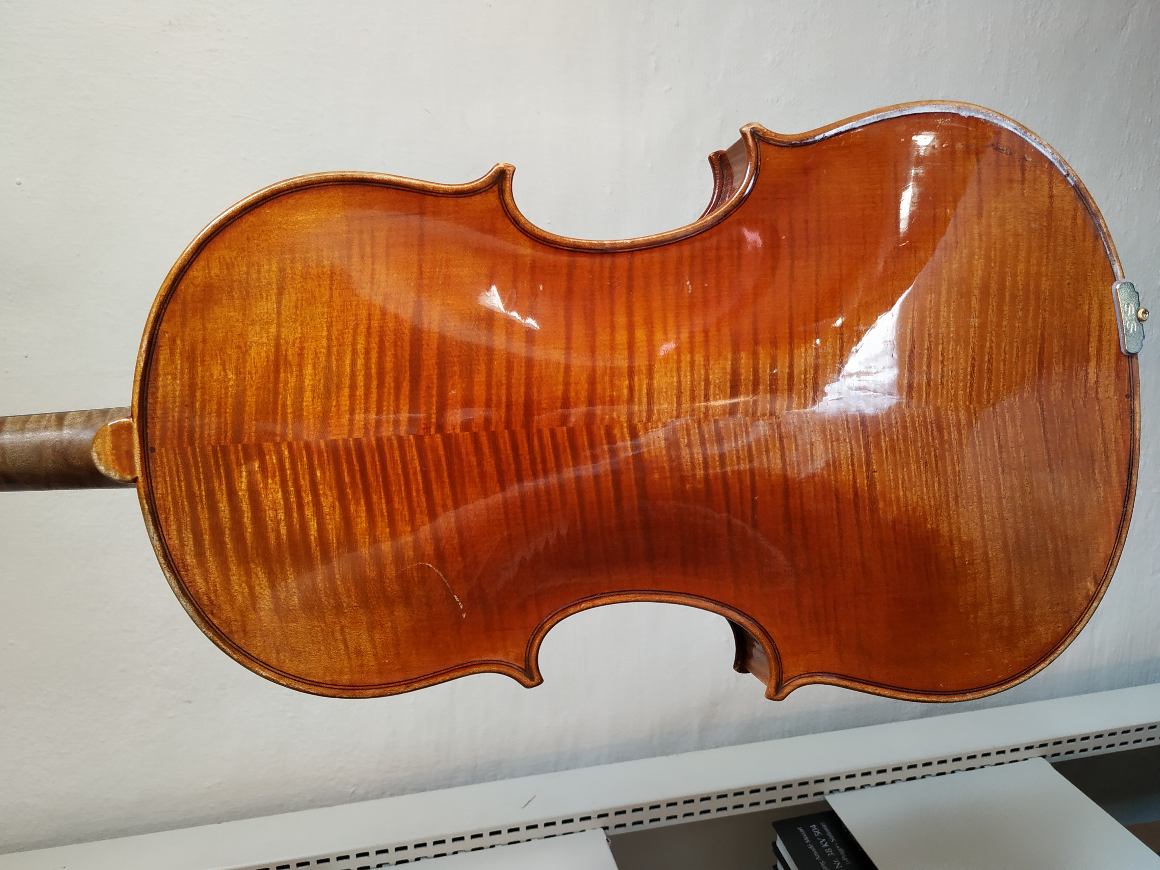 ViolaCarmeB