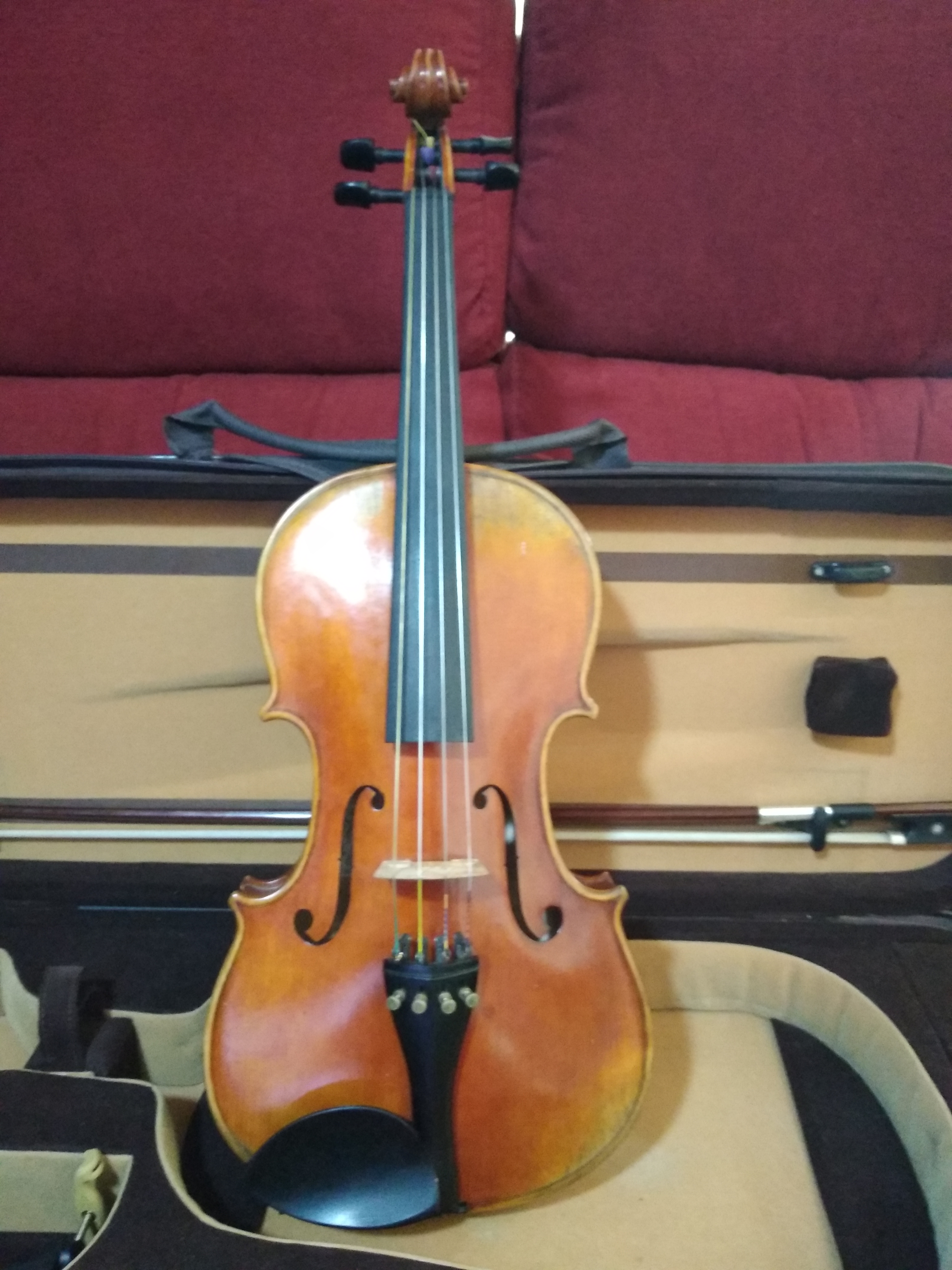 Viola Wood & Good ¡Oportunidad!